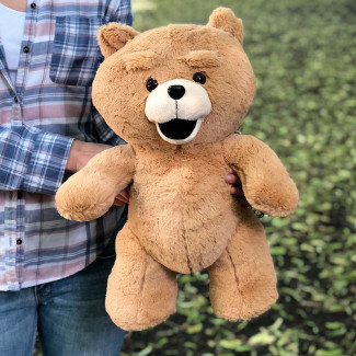 Ursul Teddy