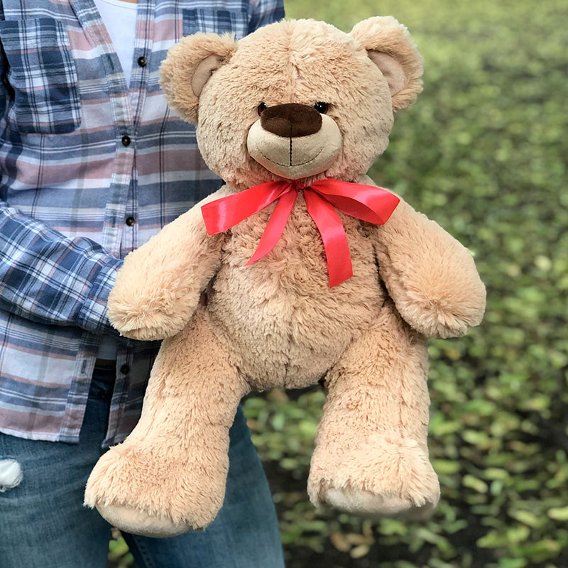Teddy bear photo