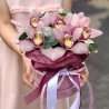 Cutie cu orhidee roz fotografie