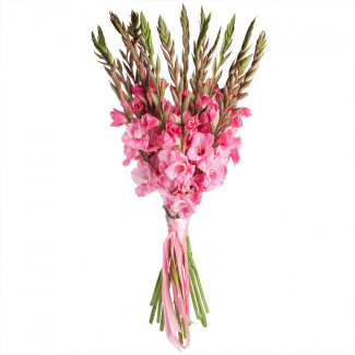 Bouquet of Pink Gladioli