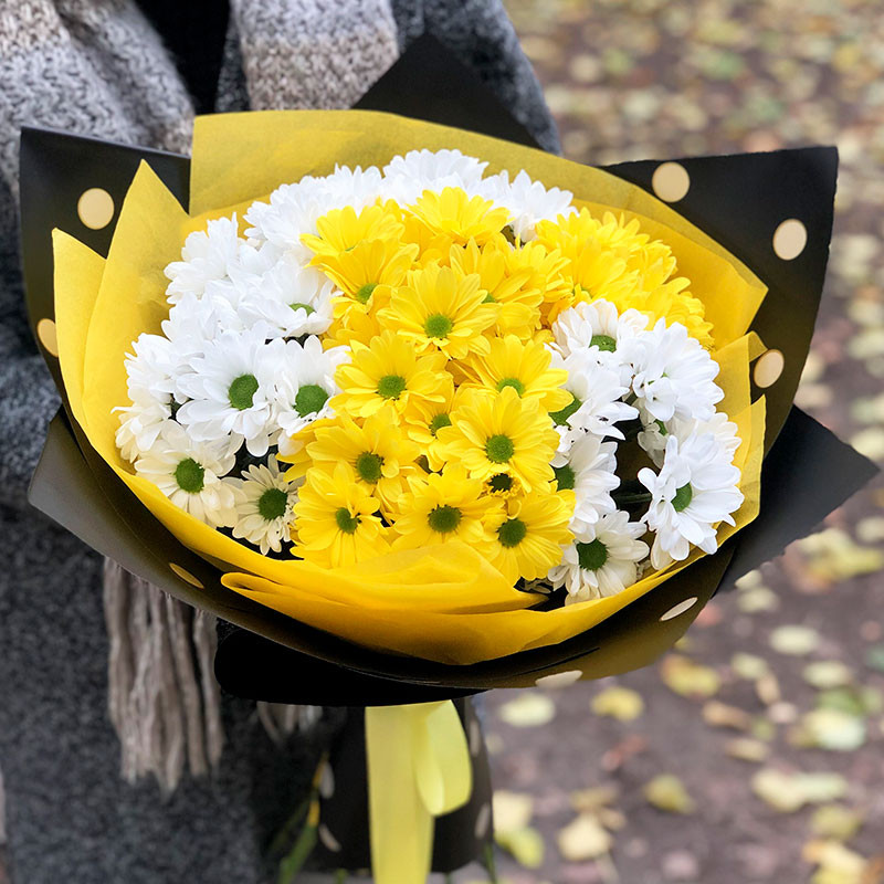 Yellow and white chrysanthemums photo