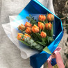 11 оранжевых пионовидных тюльпанов фото