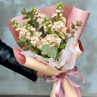 Bouquet of Delicate Matthiolas