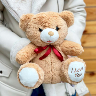 Teddy Bear "I Love You"