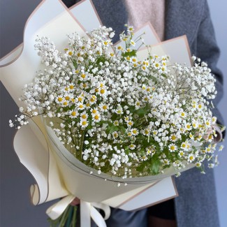 Bouquet of Daisies and...