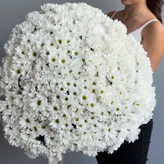 75 White Сhrysanthemums