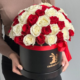 51 Red & White Rose in a Box