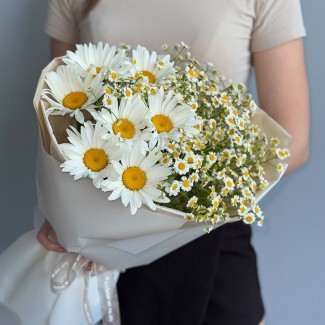 Mix of Daisies