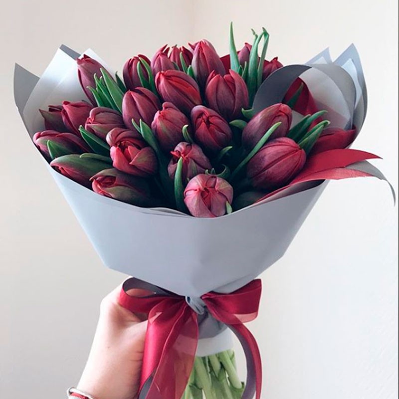 Бордовые тюльпаны декоративные маки цветы купить