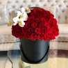 Красные розы с белой орхидеей фото