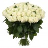 101 white roses photo